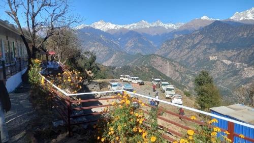 Natural Himalayan garden